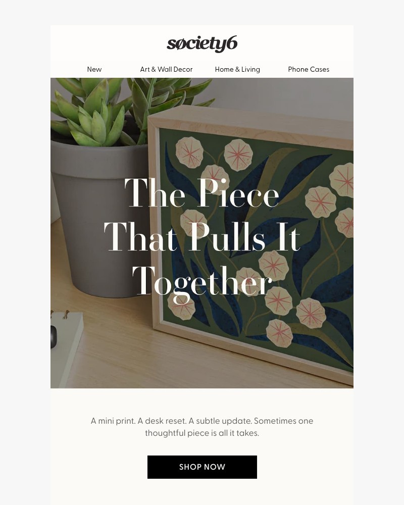 Screenshot of email sent to a Society6 Newsletter subscriber