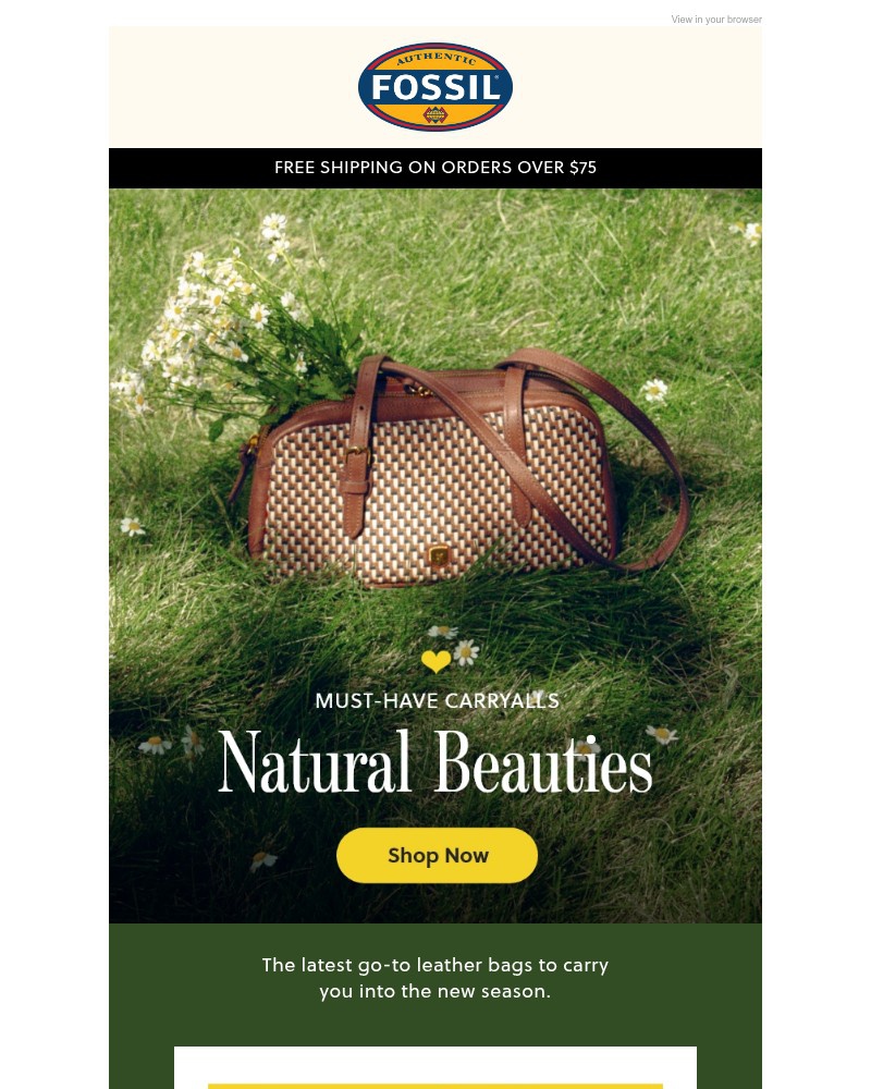 Screenshot of email with subject /media/emails/the-spring-bag-edit-668f3f-cropped-48afaa0f.jpg