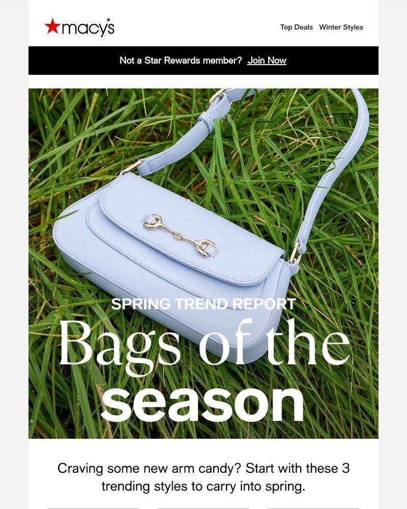 Screenshot of email with subject /media/emails/the-spring-bag-trends-to-know-shop-66c28c-cropped-f55ccd1b.jpg