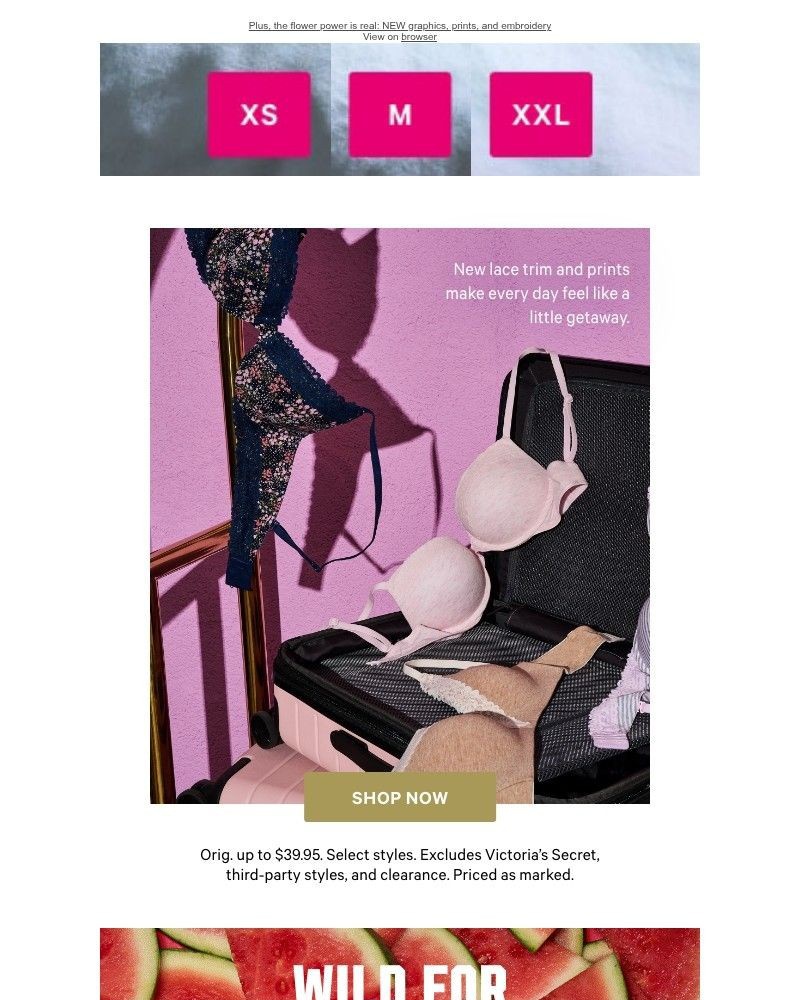 Screenshot of email with subject /media/emails/the-spring-edit-1040-panty-party-501b70-cropped-699b7b85.jpg