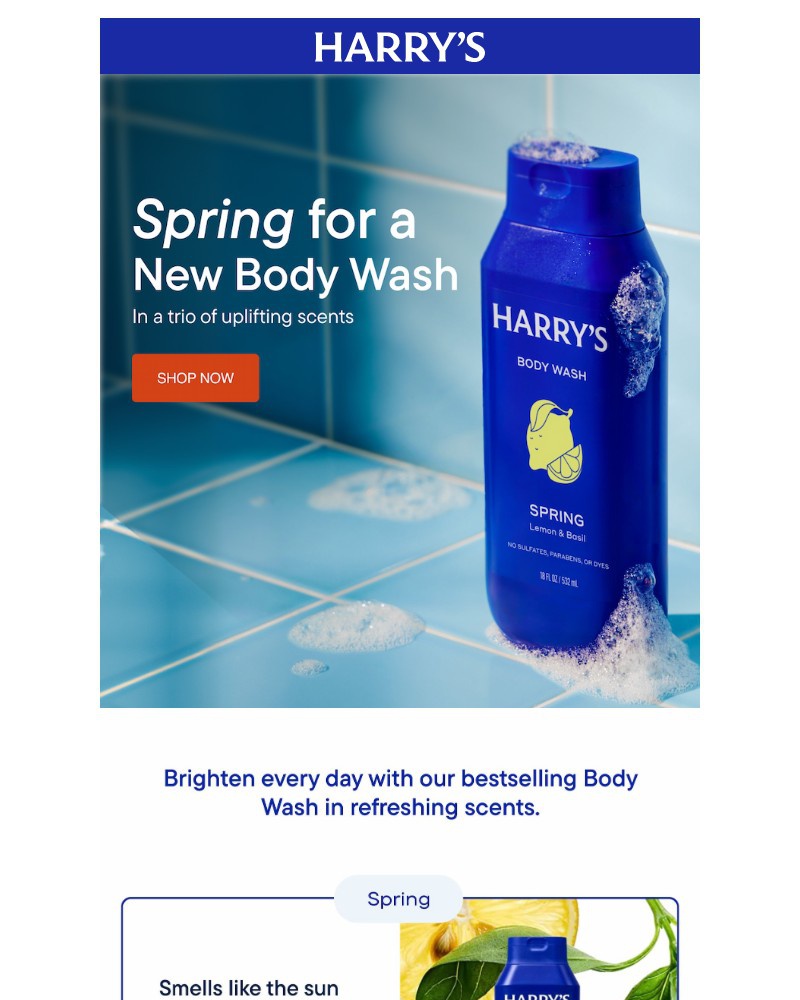 Screenshot of email with subject /media/emails/the-spring-edit-e955dc-cropped-207488ad.jpg