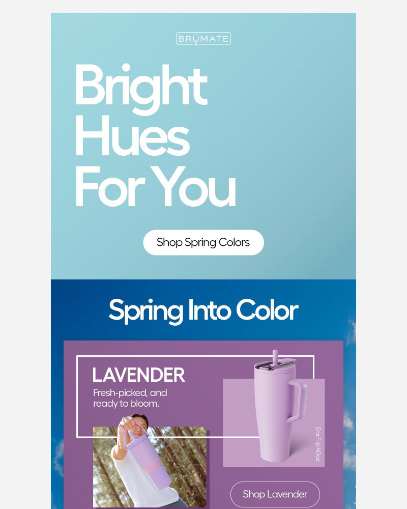 Screenshot of email with subject /media/emails/the-spring-reset-becff1-cropped-f91a17da.jpg