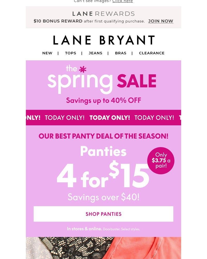 Screenshot of email with subject /media/emails/the-spring-sale-starts-now-bcdfb5-cropped-6c351d46.jpg