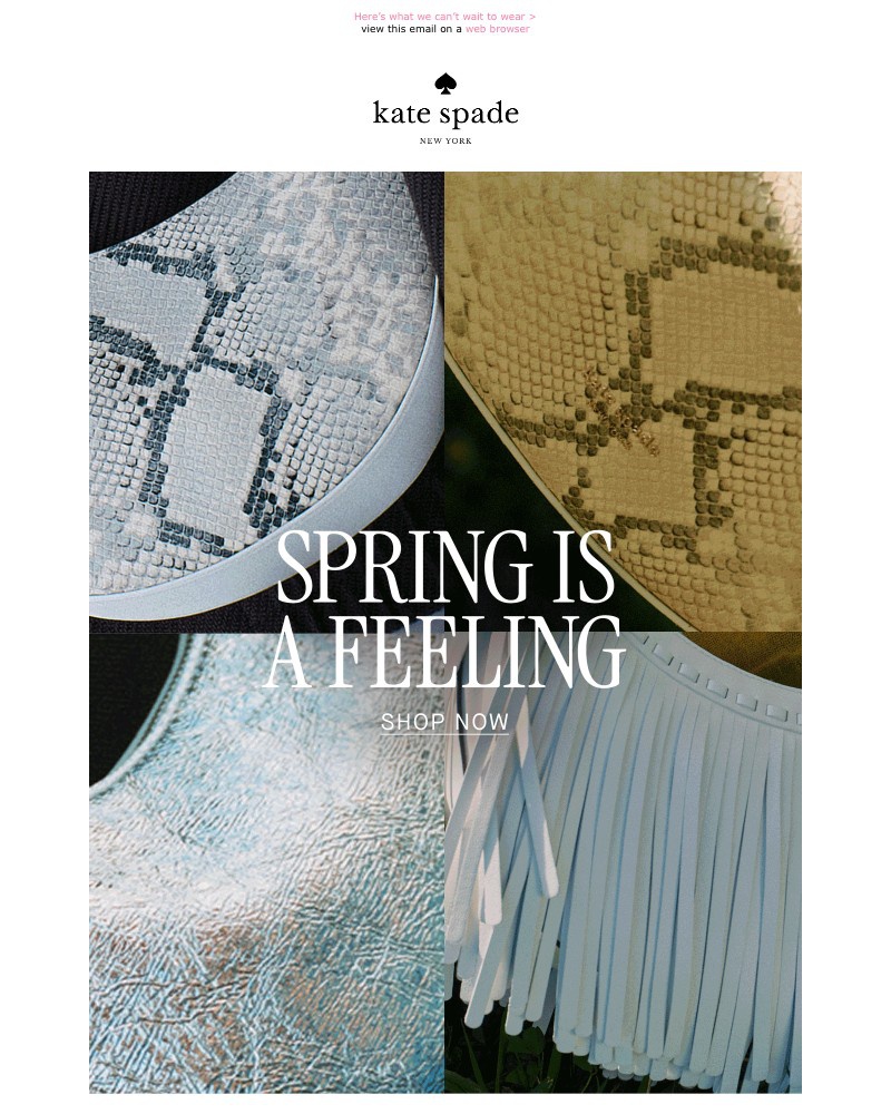 Screenshot of email with subject /media/emails/the-spring-trend-report-73b1f3-cropped-ad1839e9.jpg