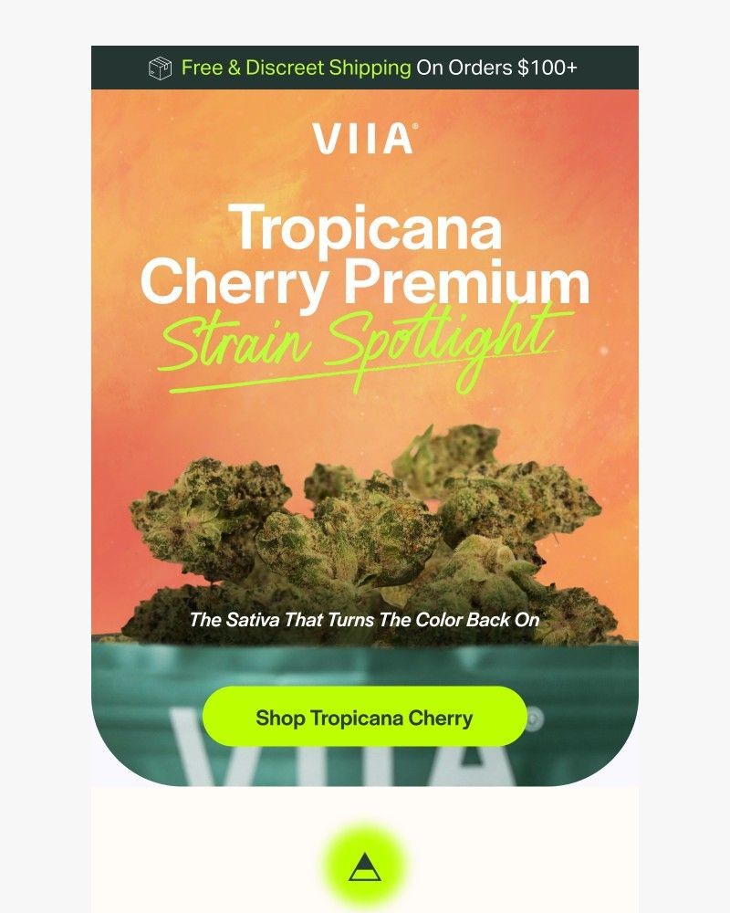 Screenshot of email with subject /media/emails/the-strain-that-makes-tuesdays-feel-like-saturdays-d66b3e-cropped-b721aee2.jpg