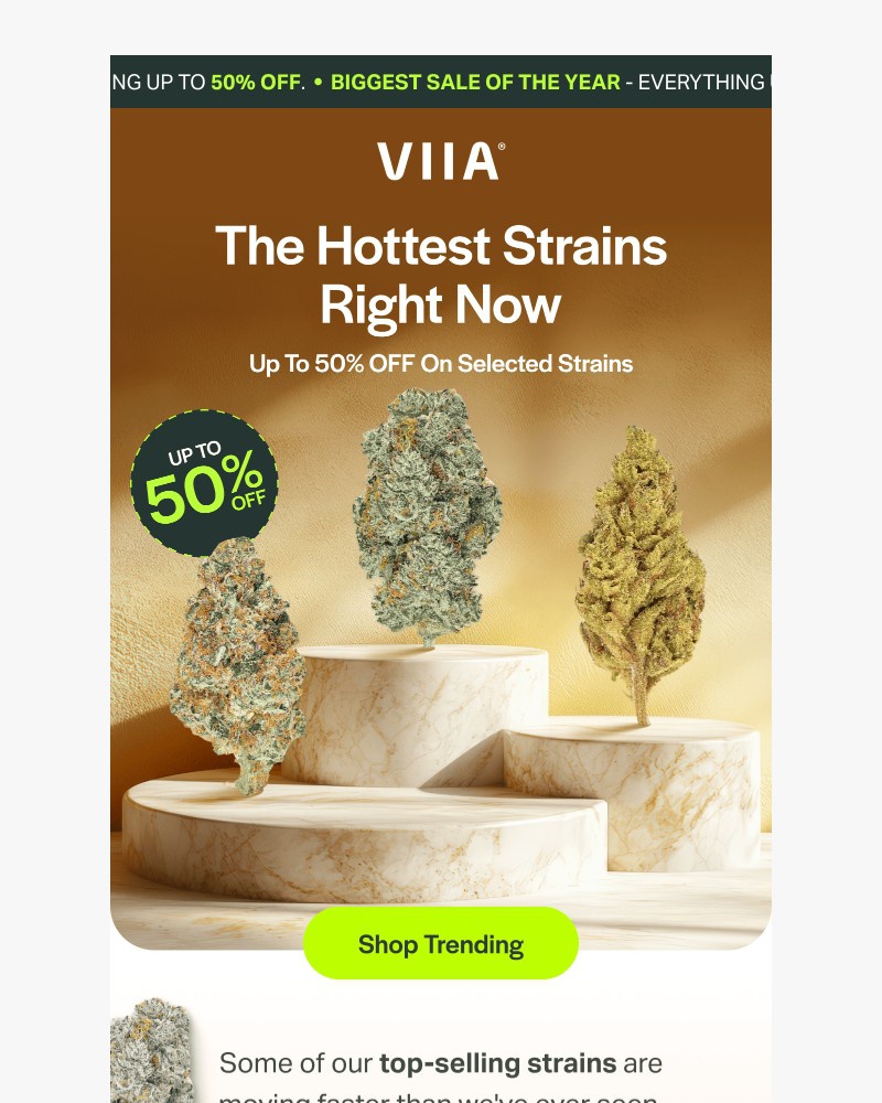 Screenshot of email with subject /media/emails/the-strains-everyones-talking-about-right-now-1675f7-cropped-c134554d.jpg