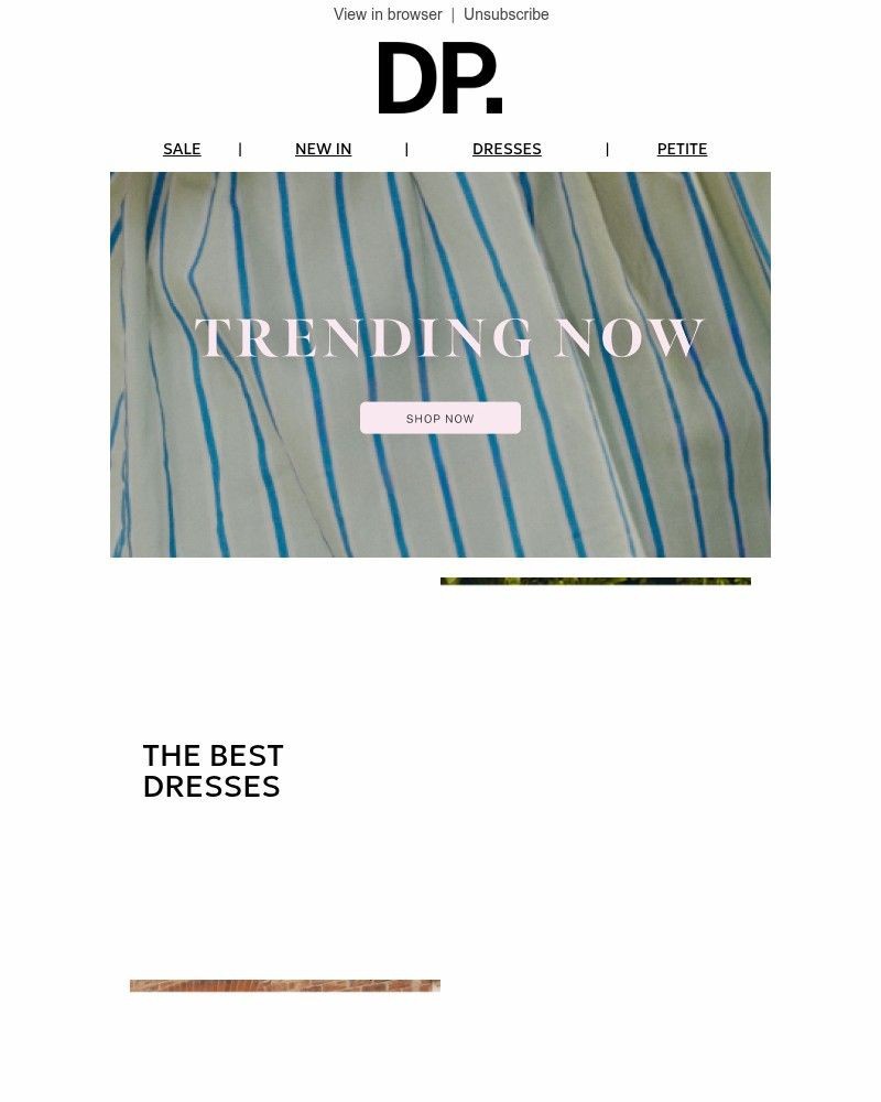 Screenshot of email with subject /media/emails/the-style-standouts-c45ea4-cropped-a0f8196a.jpg