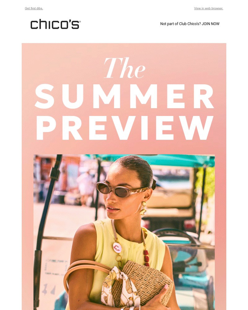 Screenshot of email with subject /media/emails/the-summer-preview-24cfcc-cropped-087968a5.jpg