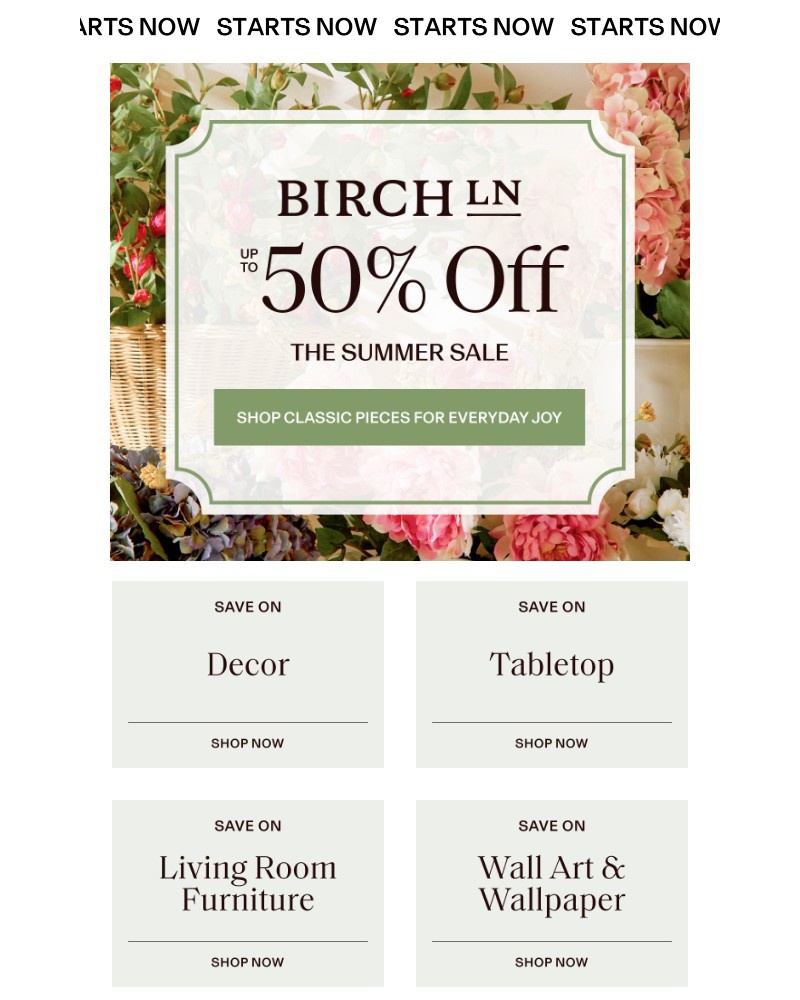 Screenshot of email sent to a Birch Lane Newsletter subscriber