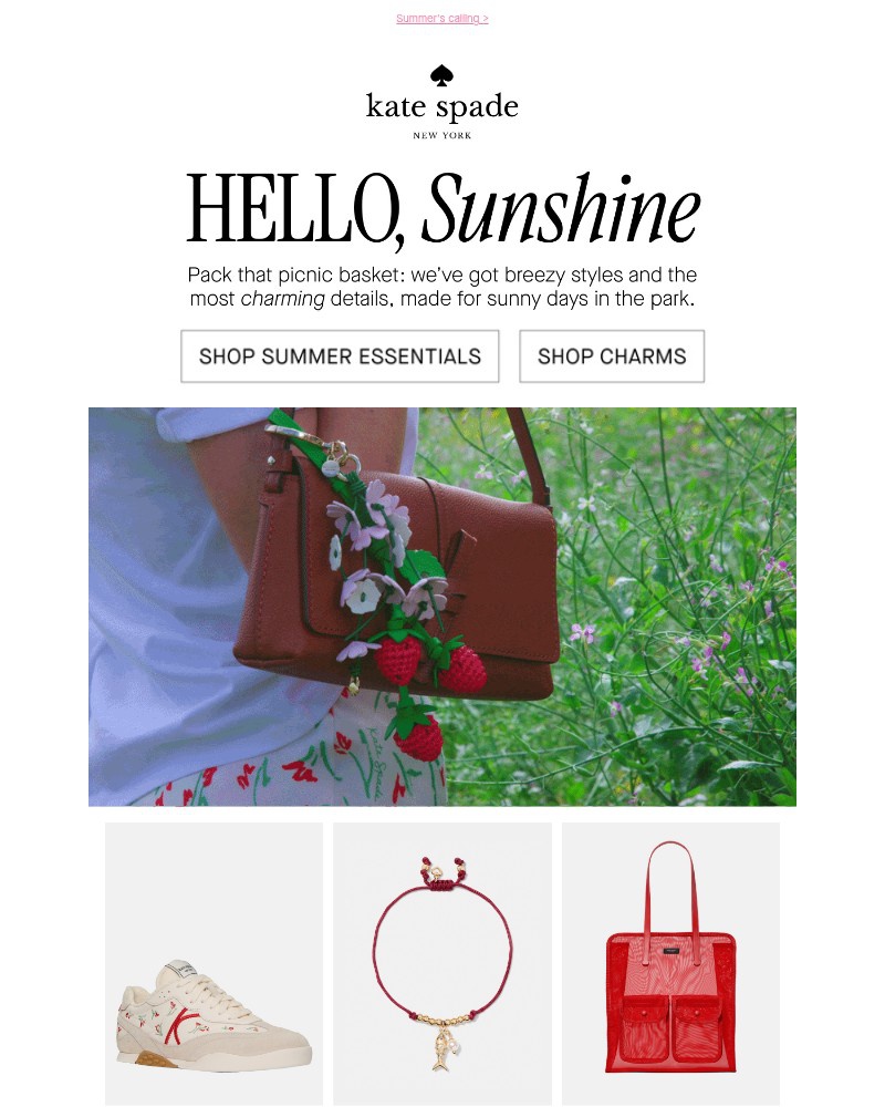 Screenshot of email with subject /media/emails/the-sunniest-accessories-and-the-end-of-season-sale-b08b4a-cropped-2ae059b7.jpg