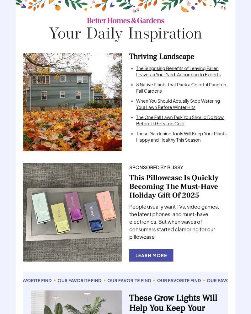 Screenshot of email with subject /media/emails/the-surprising-benefits-of-leaving-fallen-leaves-in-your-yard-8d599a-cropped-930d5eca.jpg