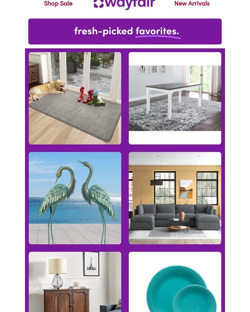 Screenshot of email with subject /media/emails/the-talk-of-the-wayborhood-these-doormats-a3fd9f-cropped-448eaaa9.jpg