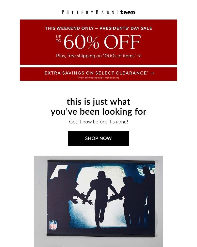 Screenshot of email with subject /media/emails/the-tapestries-murals-you-didnt-know-you-needed-up-to-60-off-this-weekend-only-e5_A7Z5YfU.jpg