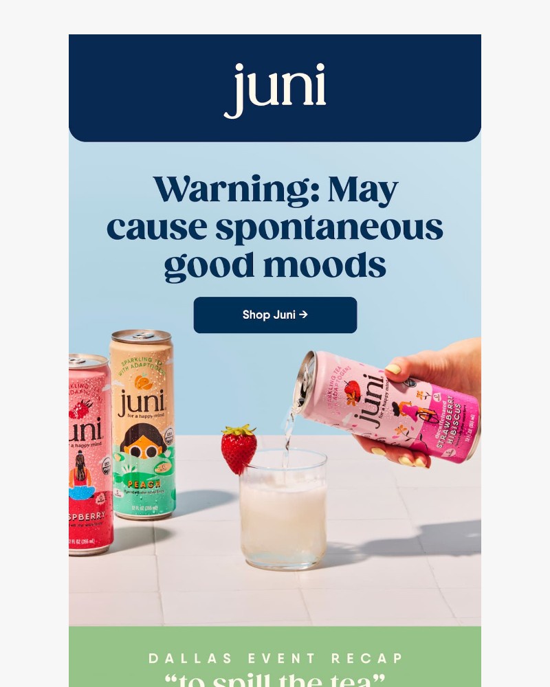 Screenshot of email sent to a Juni Newsletter subscriber