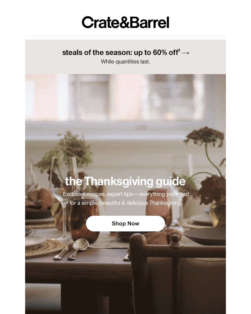 Screenshot of email with subject /media/emails/the-thanksgiving-guide-recipes-tips-must-haves-5204d7-cropped-aa4d4745.jpg