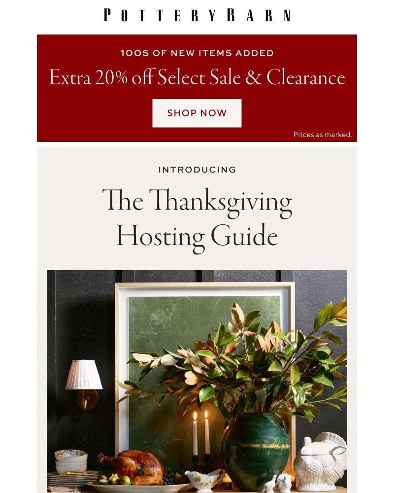 Screenshot of email with subject /media/emails/the-thanksgiving-hosting-guide-37386c-cropped-4d65f5c1.jpg