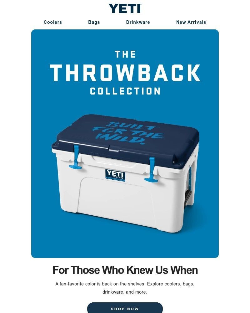 Screenshot of email with subject /media/emails/the-throwback-collection-is-here-6a457a-cropped-4e53f31e.jpg