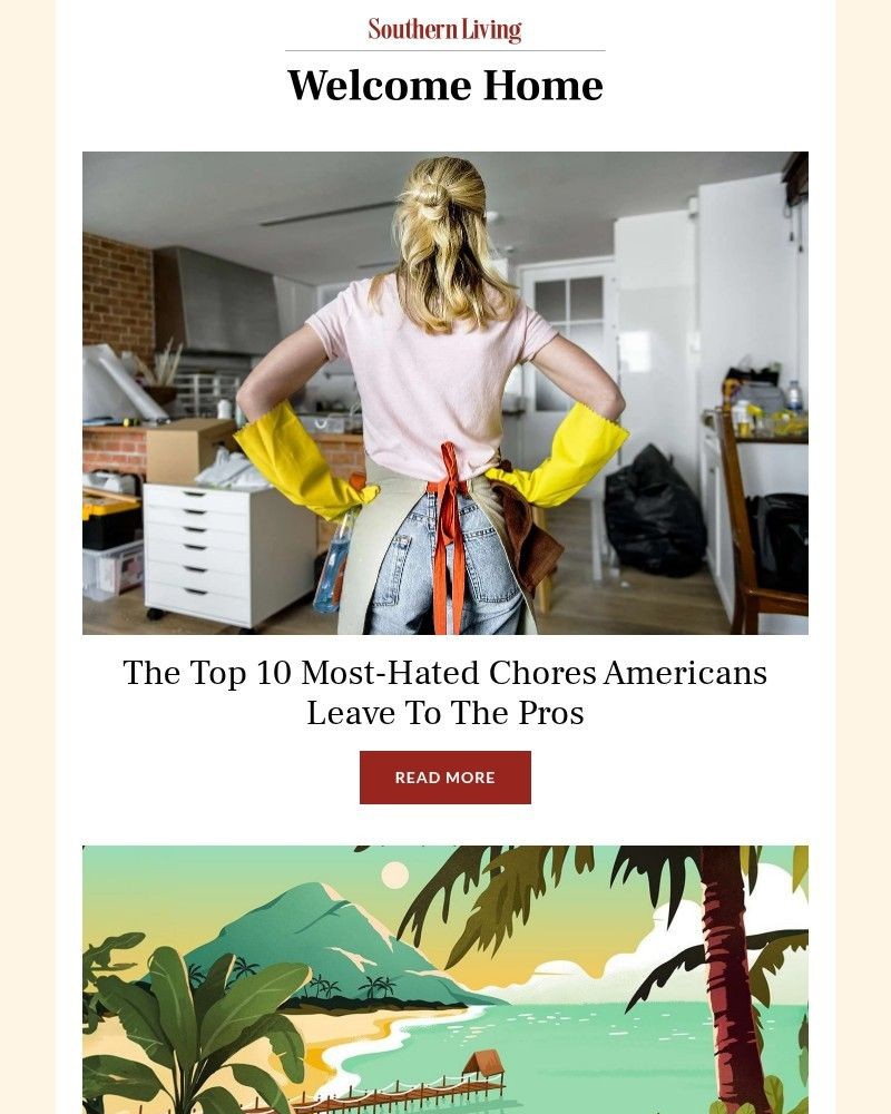 Screenshot of email with subject /media/emails/the-top-10-most-hated-chores-americans-leave-to-the-pros-8722d4-cropped-07cb1f21.jpg