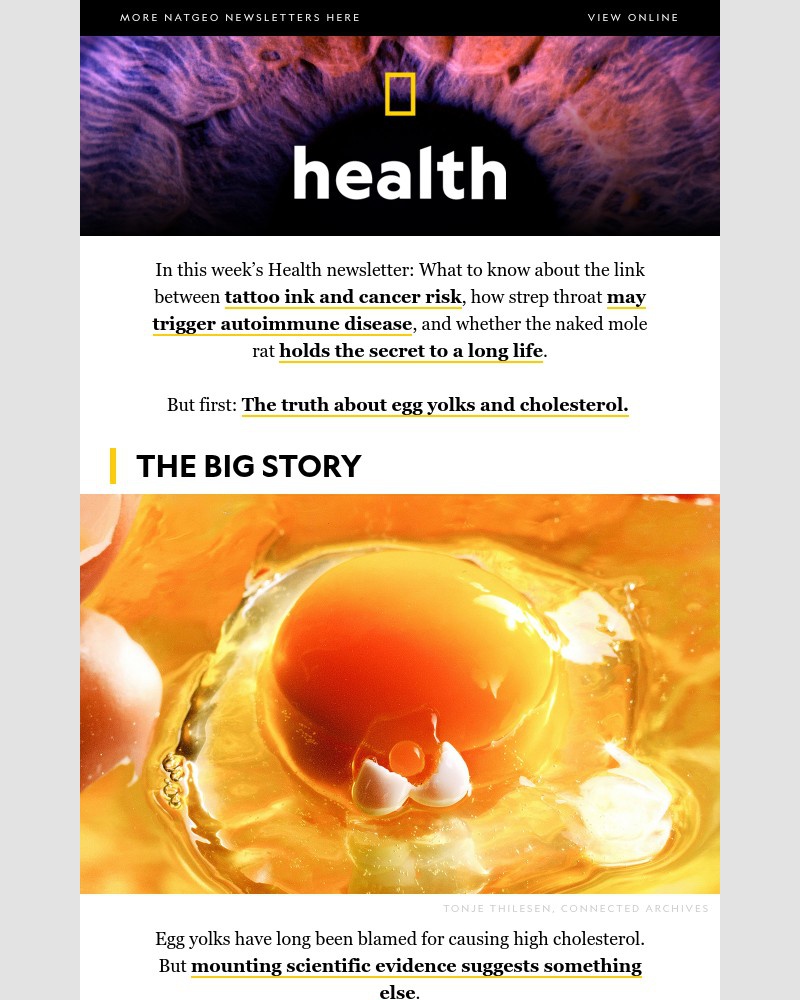 Screenshot of email sent to a National Geographic Newsletter subscriber