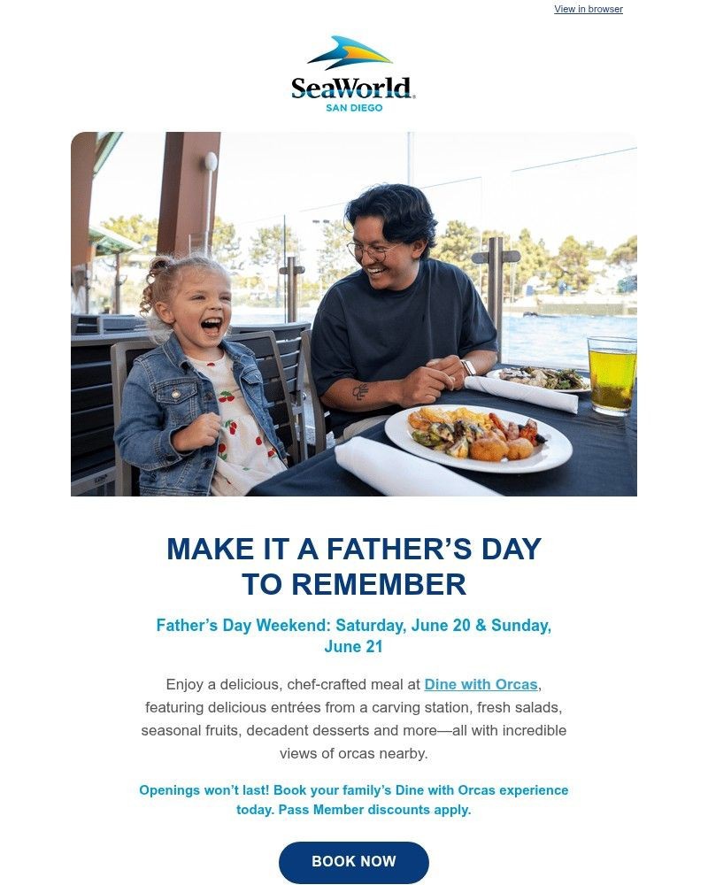 Screenshot of email with subject /media/emails/the-ultimate-dad-day-starts-here-2ac255-cropped-5de65d77.jpg