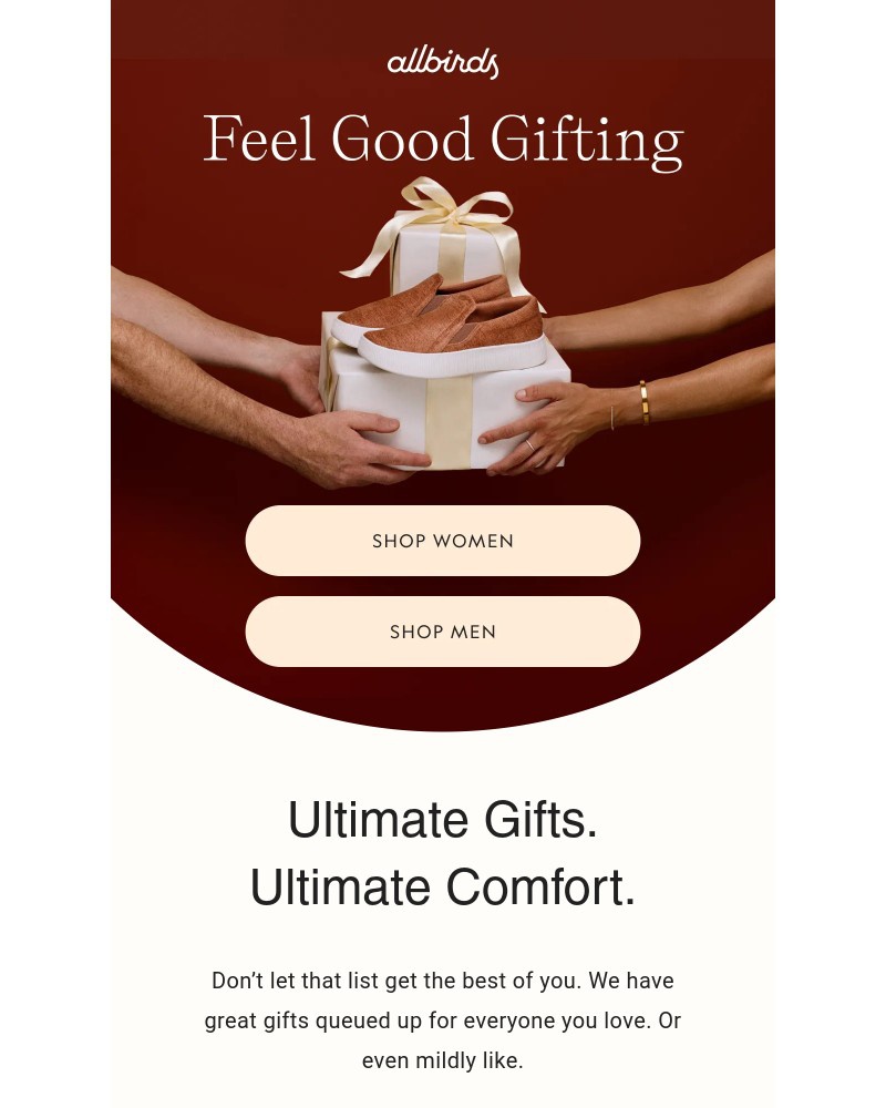 Screenshot of email sent to a Allbirds Newsletter subscriber