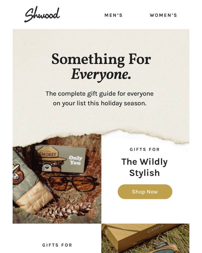 Screenshot of email sent to a Shwood and Stanley Newsletter subscriber