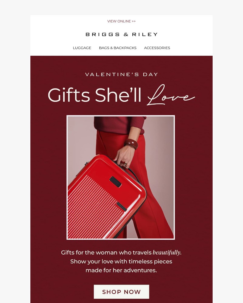 Screenshot of email with subject /media/emails/the-ultimate-travel-gifts-for-her-6d26b3-cropped-11c941bb.jpg