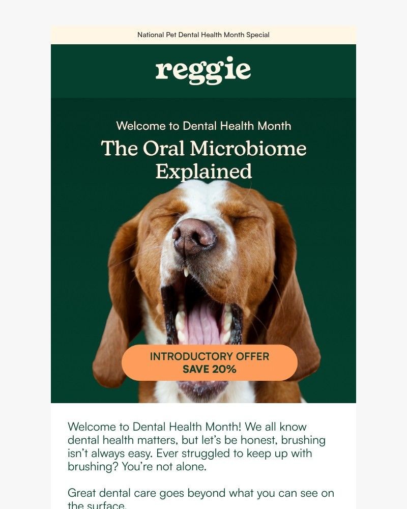 Screenshot of email with subject /media/emails/the-unseen-problem-in-your-dogs-mouth-and-how-to-fix-it-a7f396-cropped-450e1af7.jpg