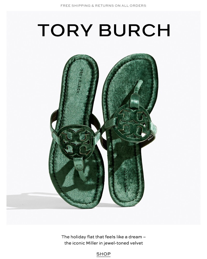 Screenshot of email with subject /media/emails/the-velvet-miller-is-here-a993df-cropped-a899b3c7.jpg