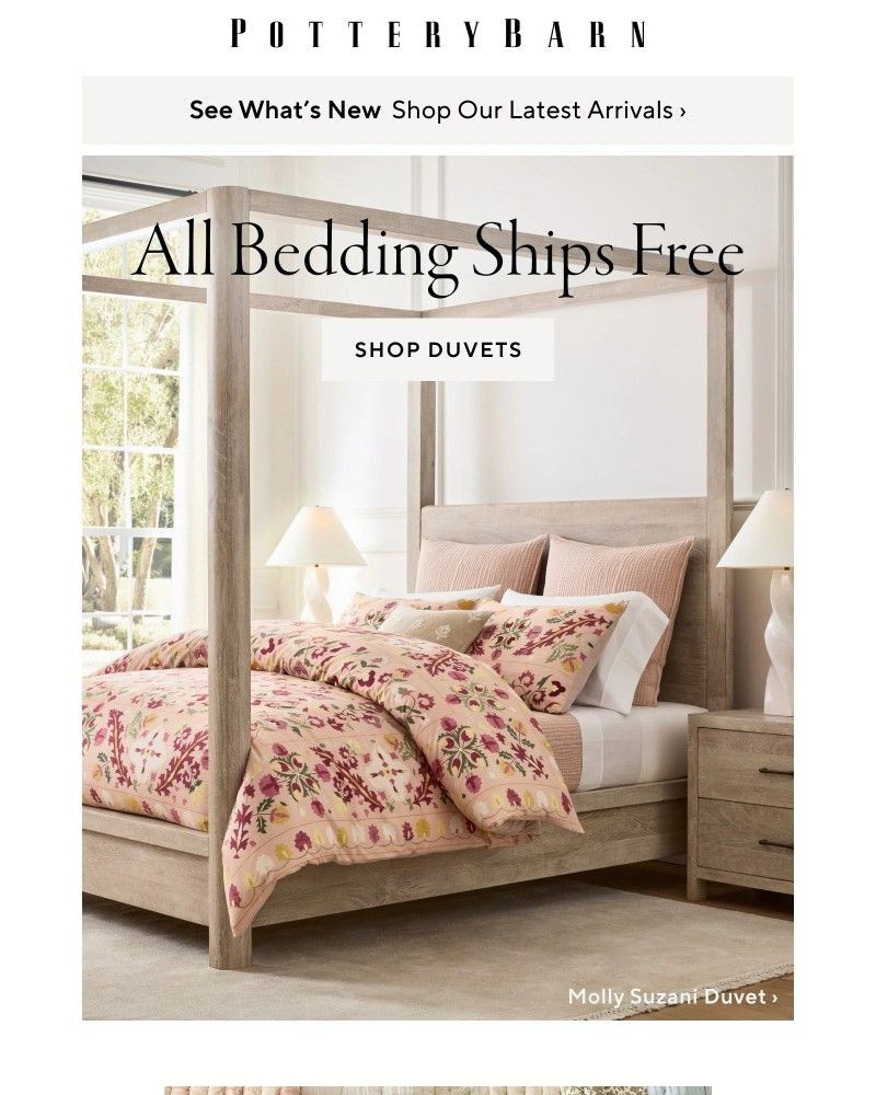Screenshot of email with subject /media/emails/the-very-best-bedding-all-shipping-free-bb513f-cropped-b320130a.jpg