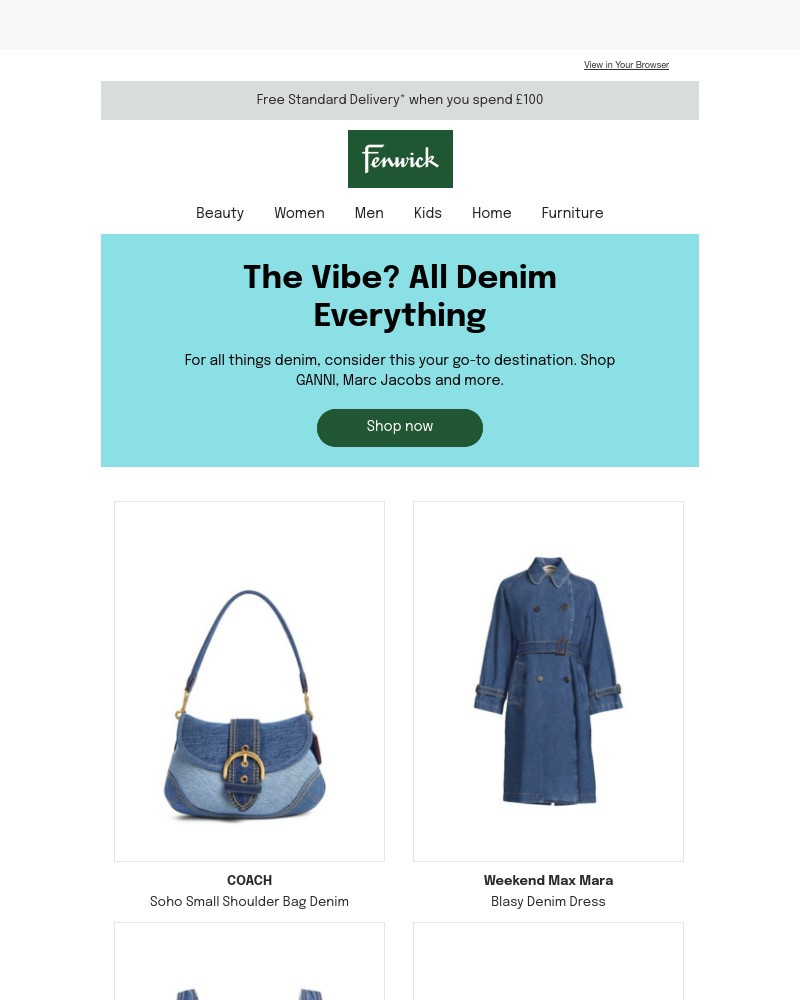 Screenshot of email with subject /media/emails/the-vibe-all-denim-everything-3e0516-cropped-68d095a4.jpg