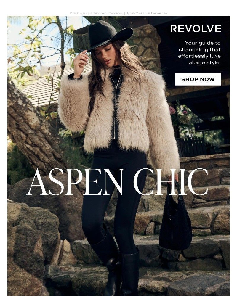 Screenshot of email with subject /media/emails/the-vibe-is-aspen-chic-6c3c2b-cropped-6c89645c.jpg