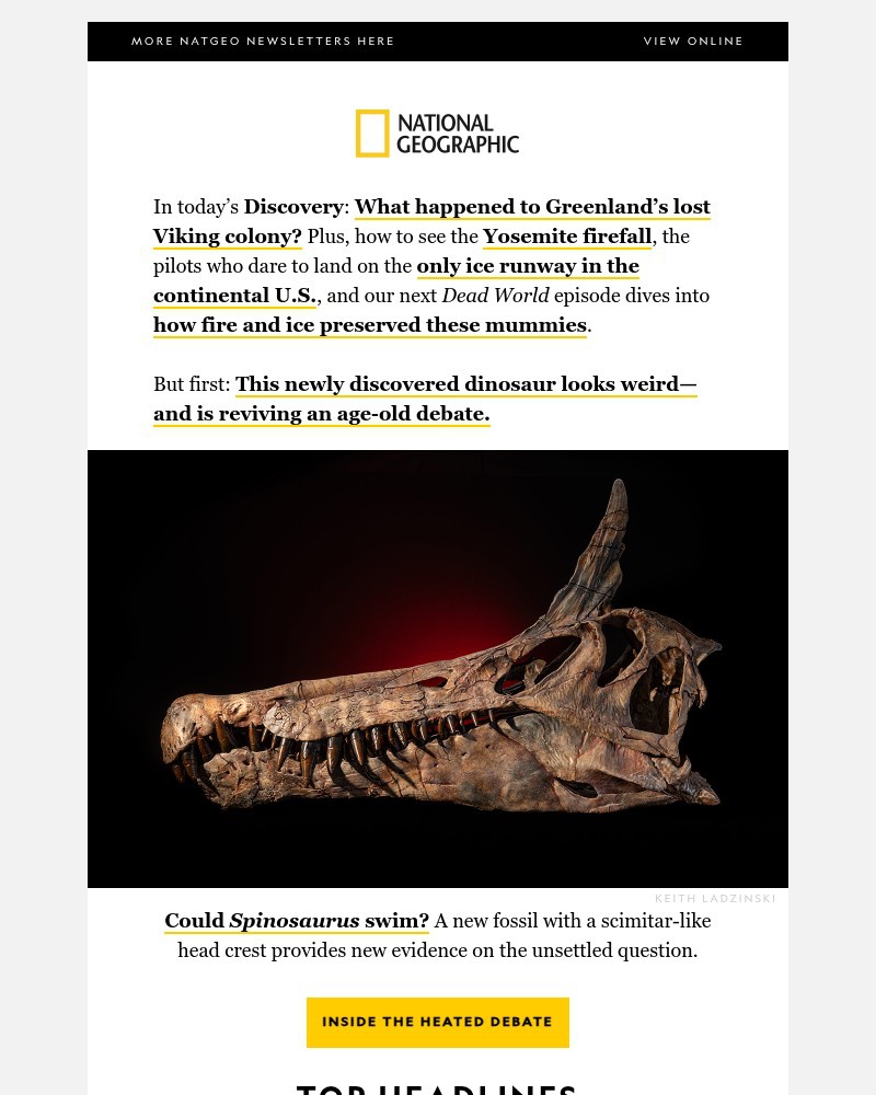 Screenshot of email with subject /media/emails/the-vikings-who-vanished-odd-looking-dinosaur-sparks-age-old-debate-mummies-forge_MqWaACe.jpg