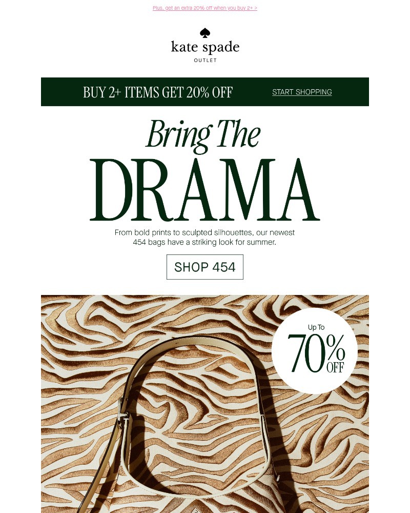 Screenshot of email with subject /media/emails/the-viral-454-bagup-to-70-off-7a5ff6-cropped-a5289612.jpg