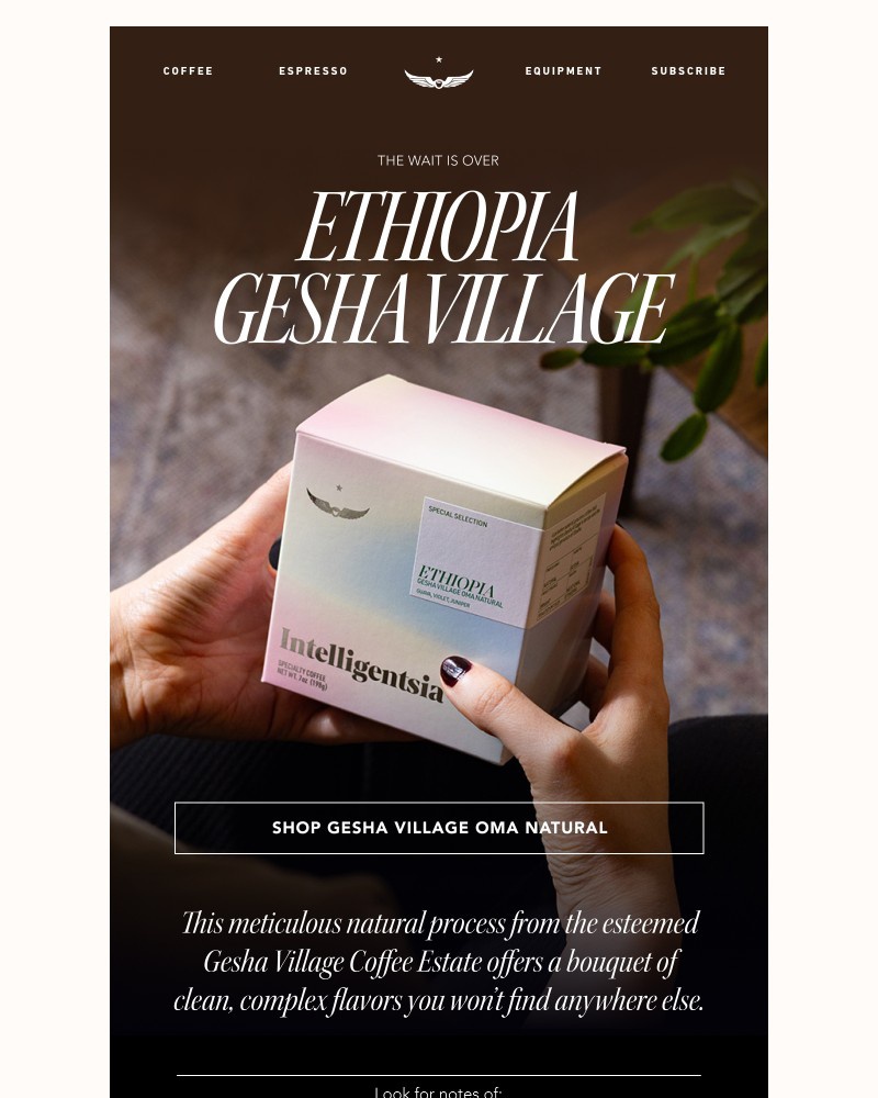 Screenshot of email with subject /media/emails/the-wait-is-over-0e4391-cropped-9ab3741a.jpg