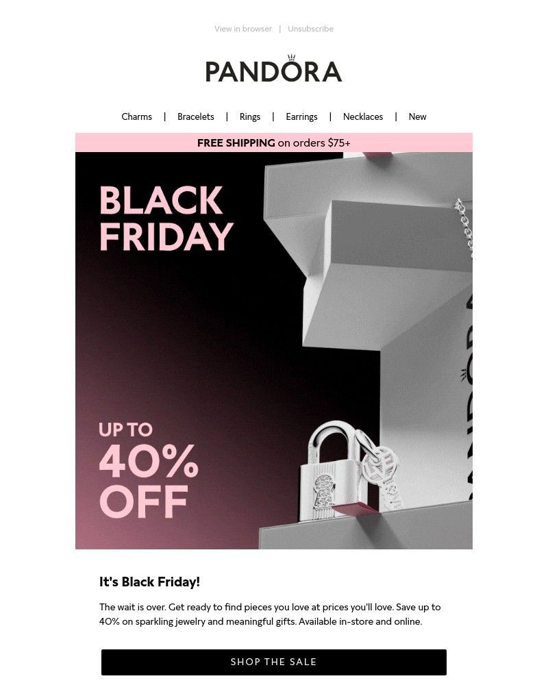 Screenshot of email with subject /media/emails/the-wait-is-over-black-friday-has-arrived-0aa611-cropped-0f8b06fa.jpg