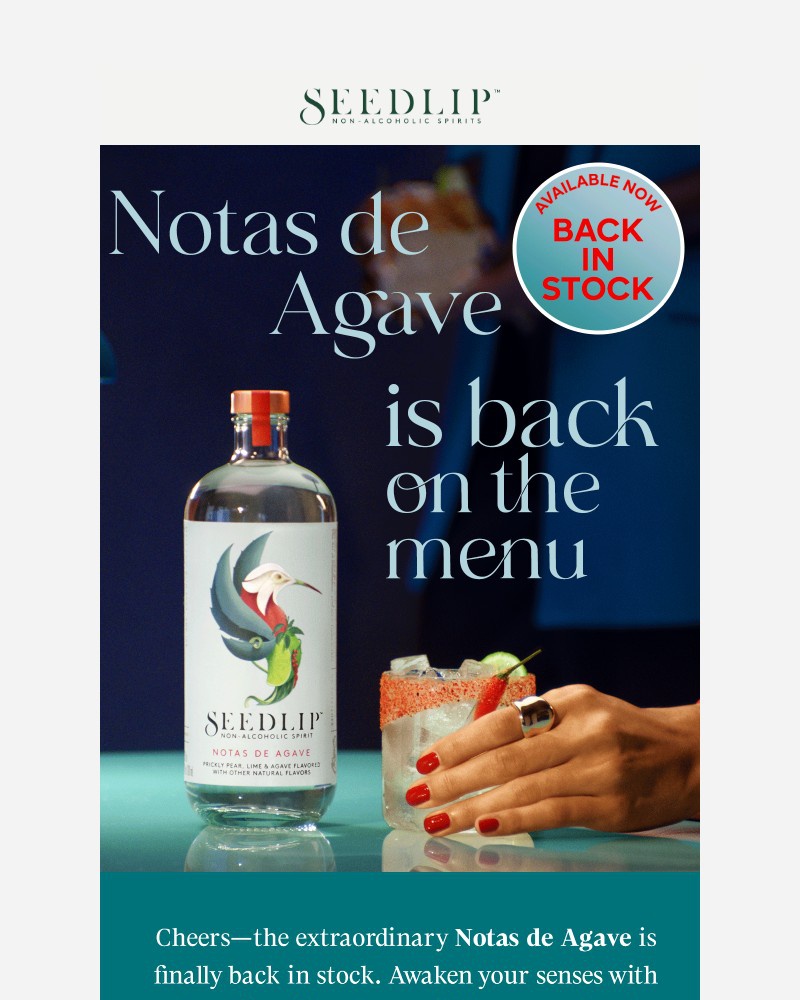 Screenshot of email sent to a Seedlip Newsletter subscriber