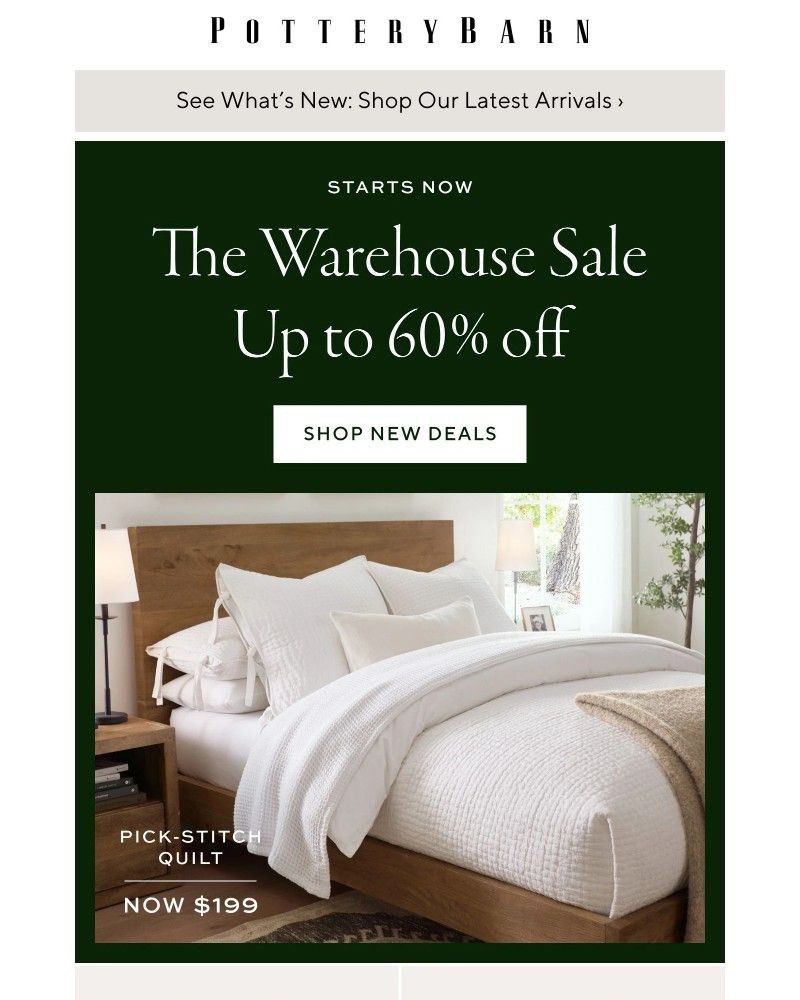 Screenshot of email with subject /media/emails/the-warehouse-sale-starts-now-c61e16-cropped-d3e56d3b.jpg