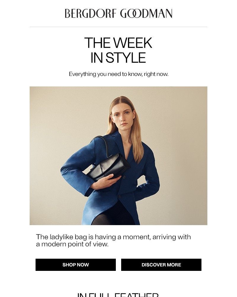 Screenshot of email with subject /media/emails/the-week-in-style-feather-weather-420ed2-cropped-2030f45d.jpg