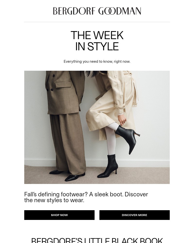 Screenshot of email with subject /media/emails/the-week-in-style-loretta-rothschilds-london-guide-fdd254-cropped-255bca5a.jpg
