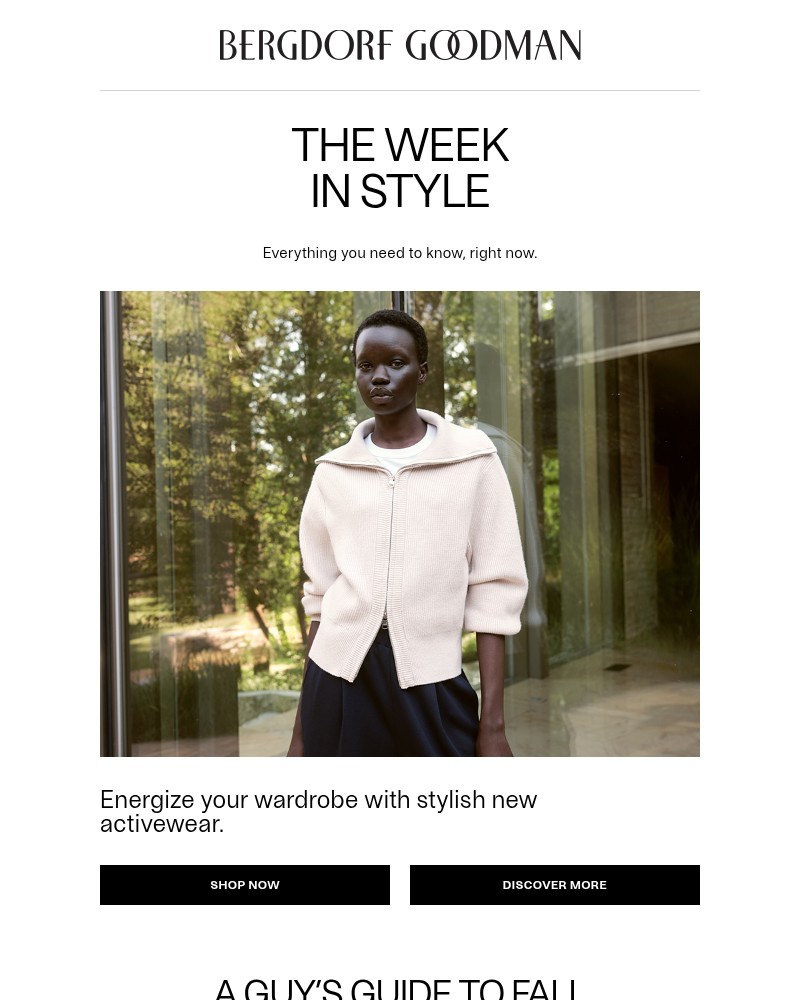 Screenshot of email with subject /media/emails/the-week-in-style-on-the-go-6429eb-cropped-a67f5a32.jpg