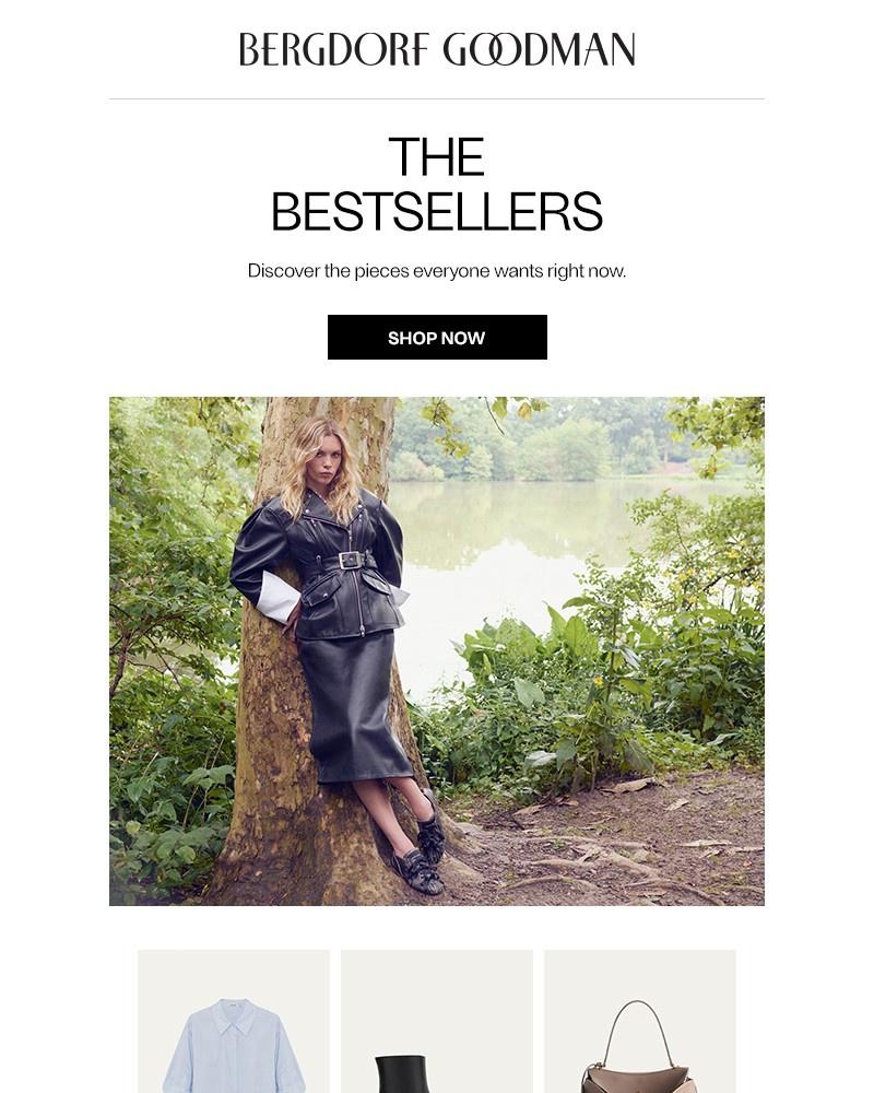 Screenshot of email with subject /media/emails/the-weeks-bestsellers-4b8af3-cropped-76f056dd.jpg