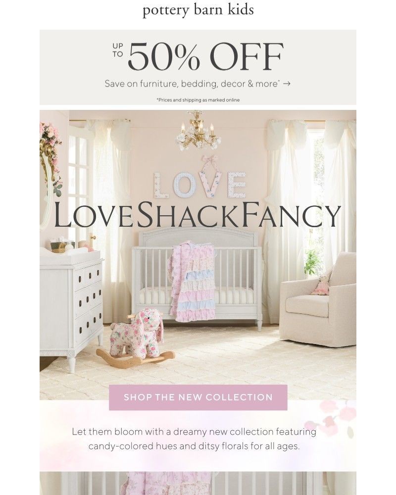 Screenshot of email with subject /media/emails/the-whimsical-world-of-new-loveshackfancy-c553b4-cropped-bb7de49e.jpg