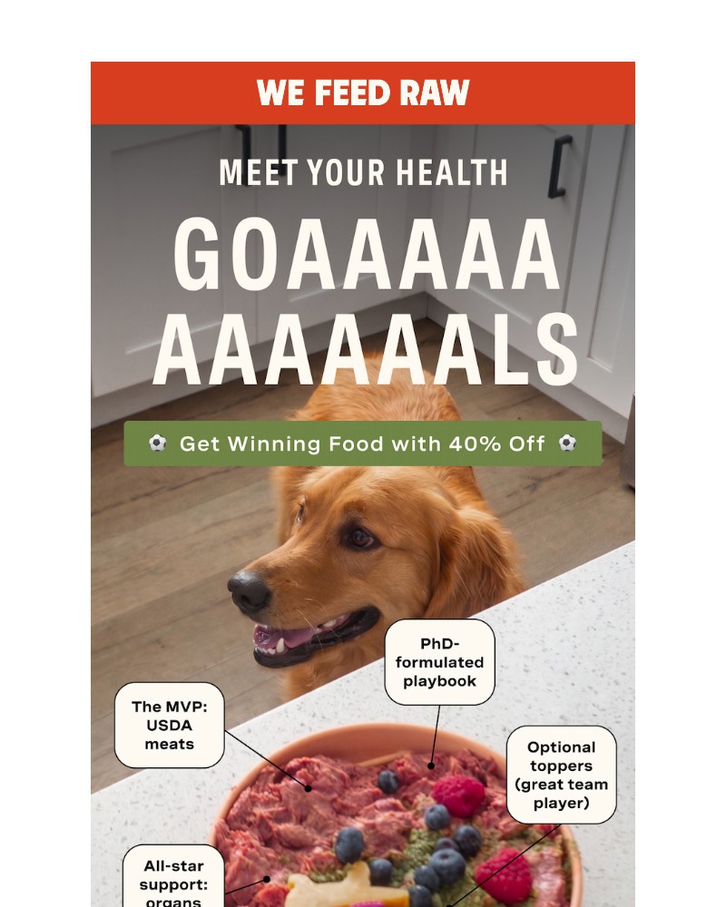 Screenshot of email with subject /media/emails/the-worlds-watching-your-pup-has-goals-too-f46e55-cropped-b712031e.jpg