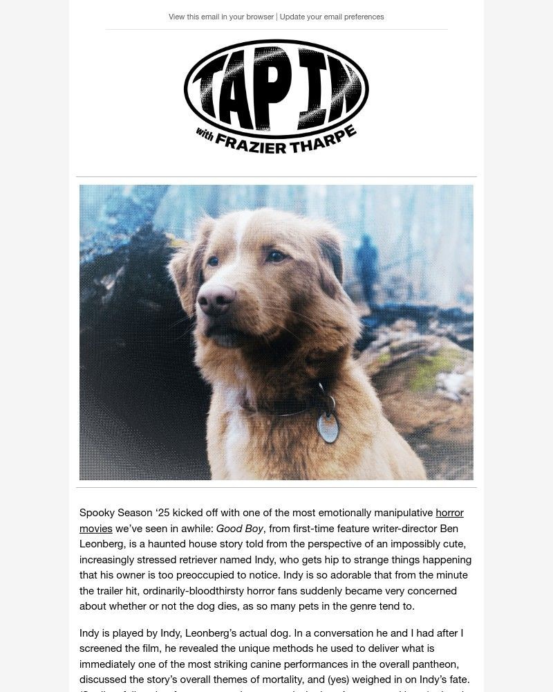 Screenshot of email with subject /media/emails/the-years-most-harrowing-horror-movie-stars-a-golden-retriever-4a4733-cropped-3cddb989.jpg