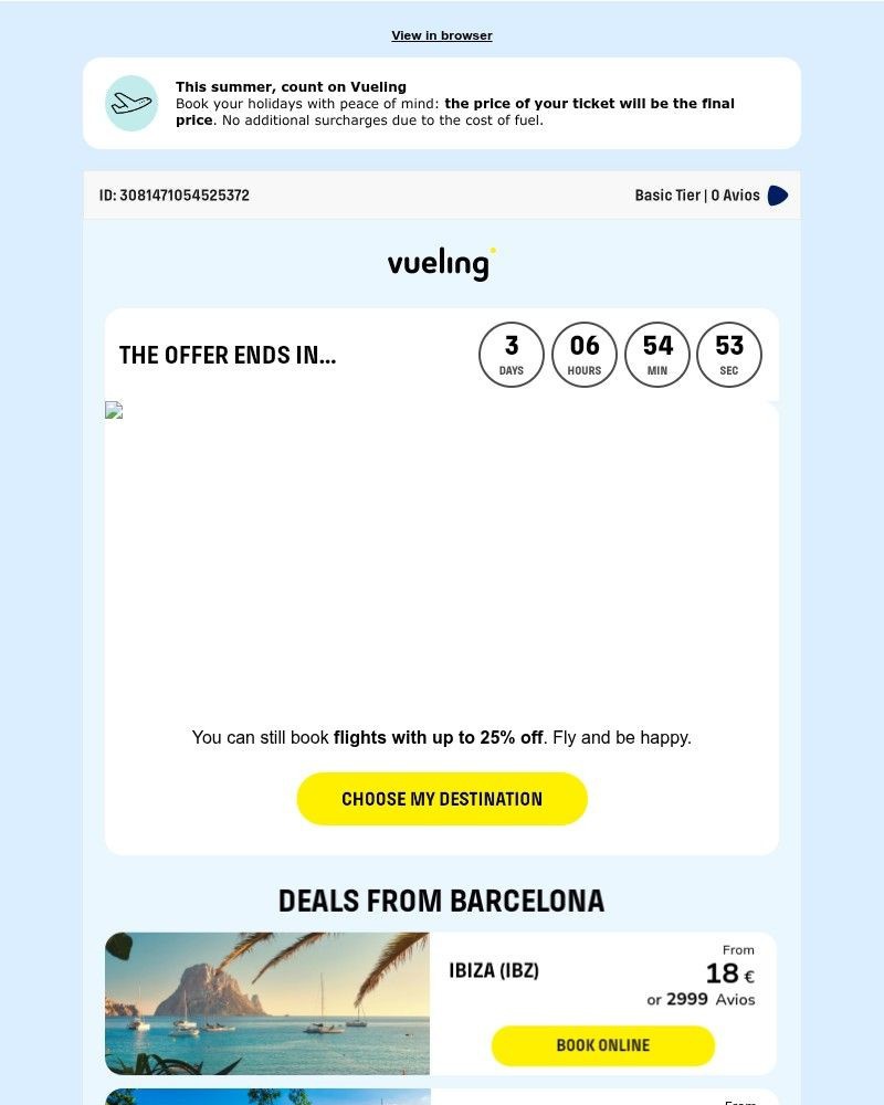 Screenshot of email sent to a Vueling Registered user