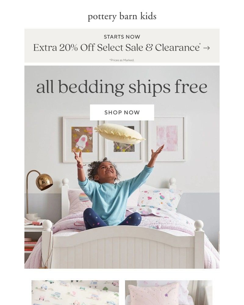 Screenshot of email with subject /media/emails/their-new-bedding-all-ships-free-66a775-cropped-9642897e.jpg