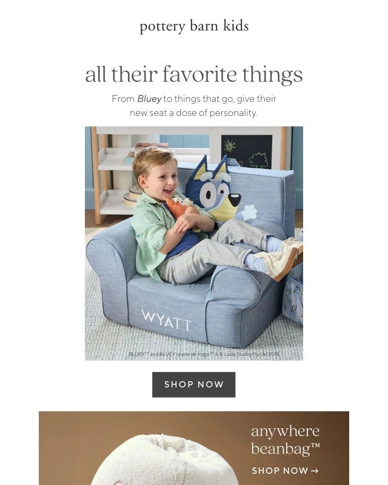 Screenshot of email sent to a Pottery Barn Newsletter subscriber