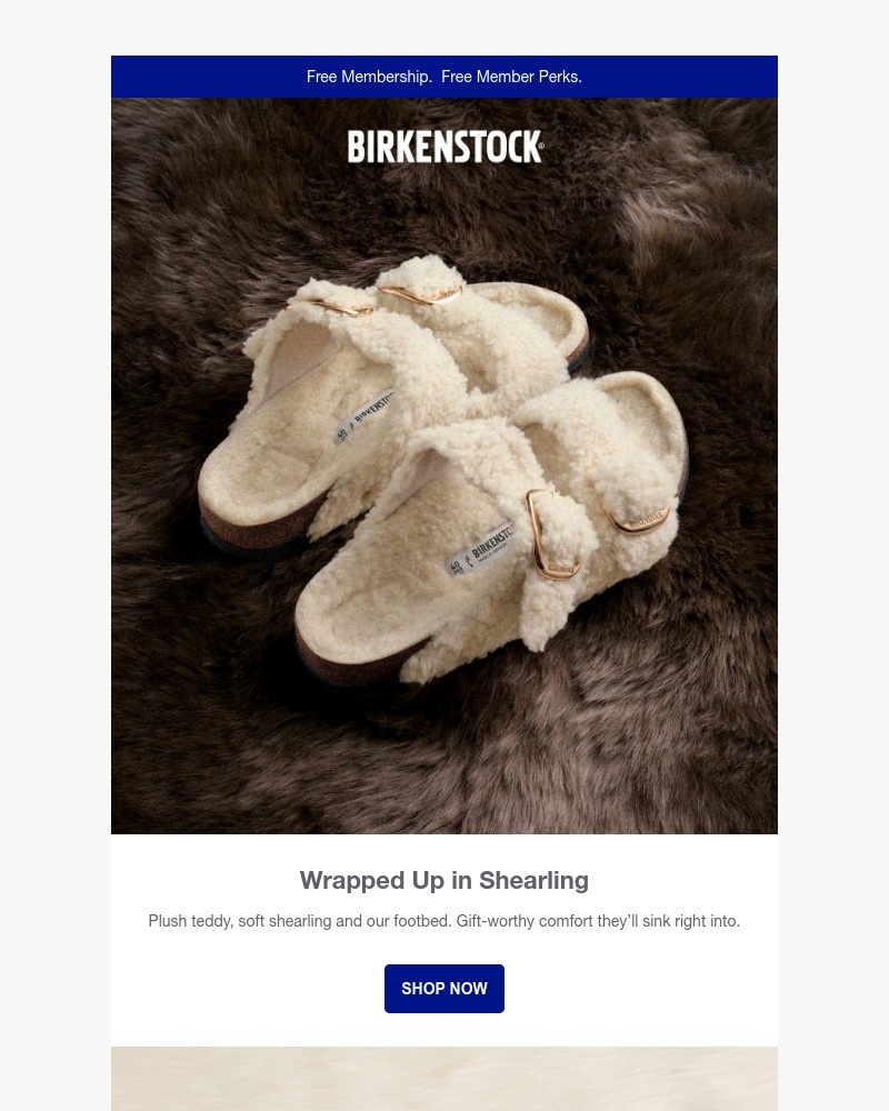 Screenshot of email with subject /media/emails/their-style-winterized-gift-boston-arizona-shearling-2eea72-cropped-a88cef8c.jpg