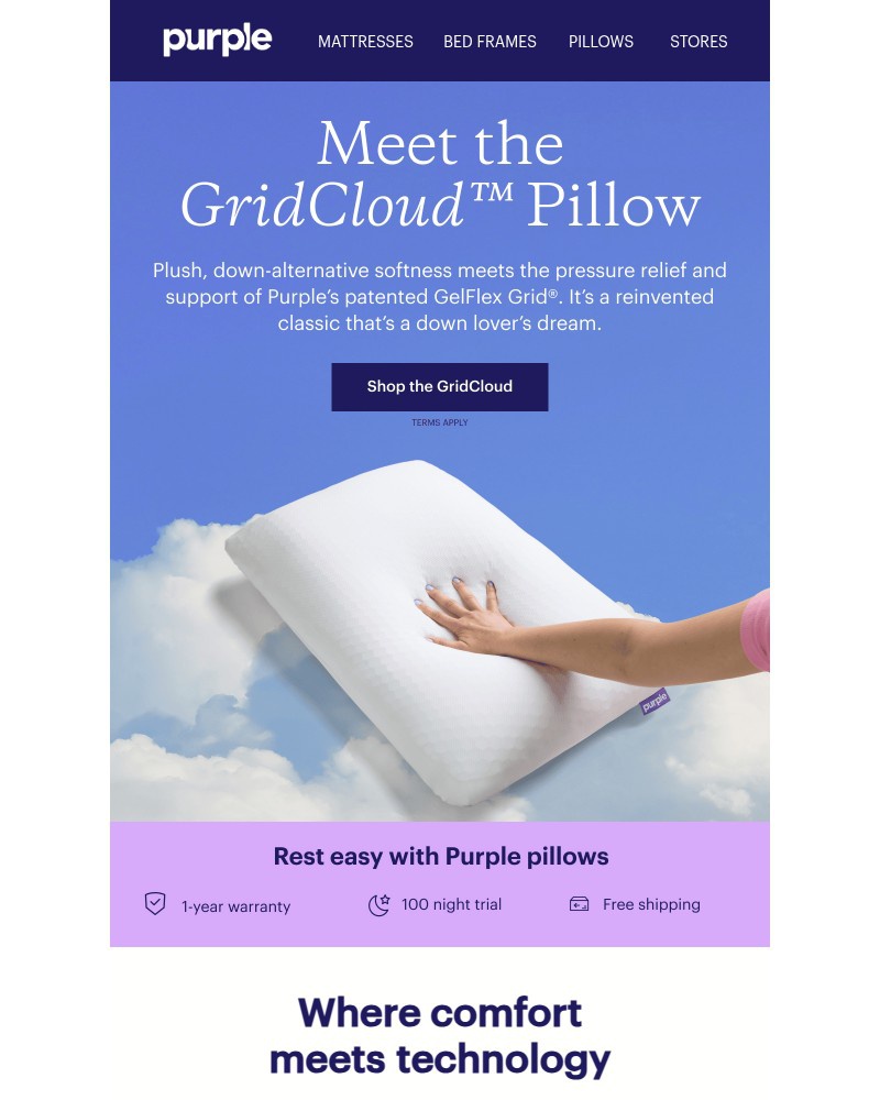 Screenshot of email with subject /media/emails/theres-a-new-pillow-in-town-a01a97-cropped-638a52f8.jpg